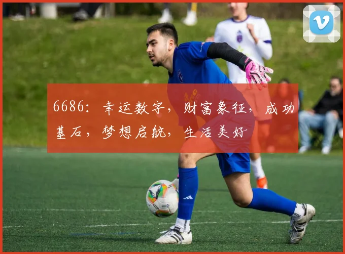 6686：幸运数字，财富象征，成功基石，梦想启航，生活美好